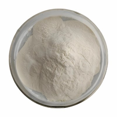 Ksantaankummi 200 võrk